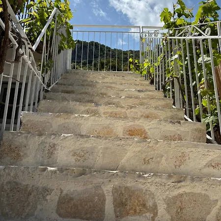 Apartmán Serenita