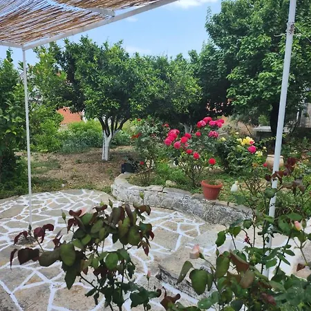 Apartment Serenita Poros (Kefalonia)